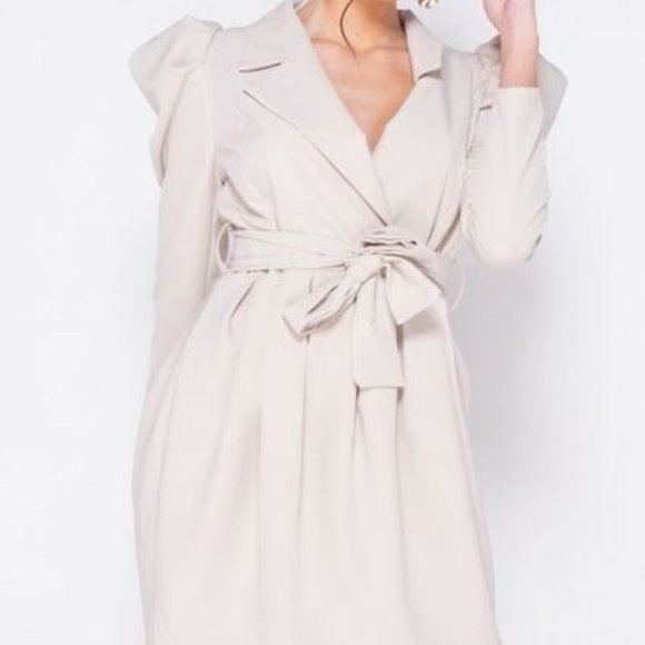 Beige Puff Sleeve Dress - Picture 3 of 10